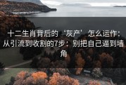 十二生肖背后的‘灰产’怎么运作：从引流到收割的7步：别把自己逼到墙角