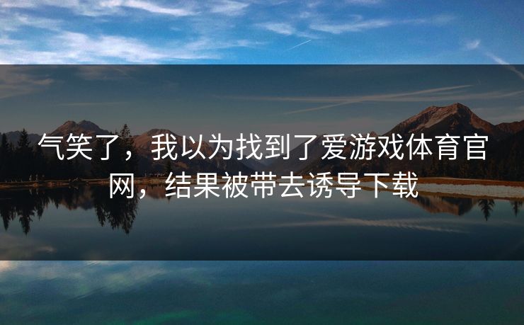 气笑了，我以为找到了爱游戏体育官网，结果被带去诱导下载