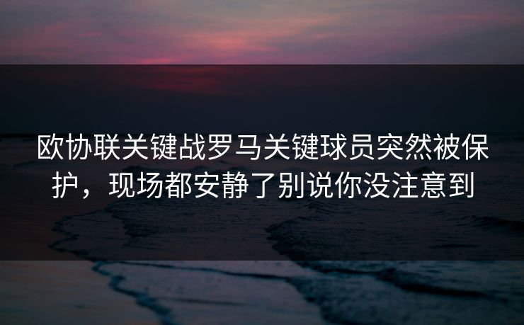 欧协联关键战罗马关键球员突然被保护，现场都安静了别说你没注意到
