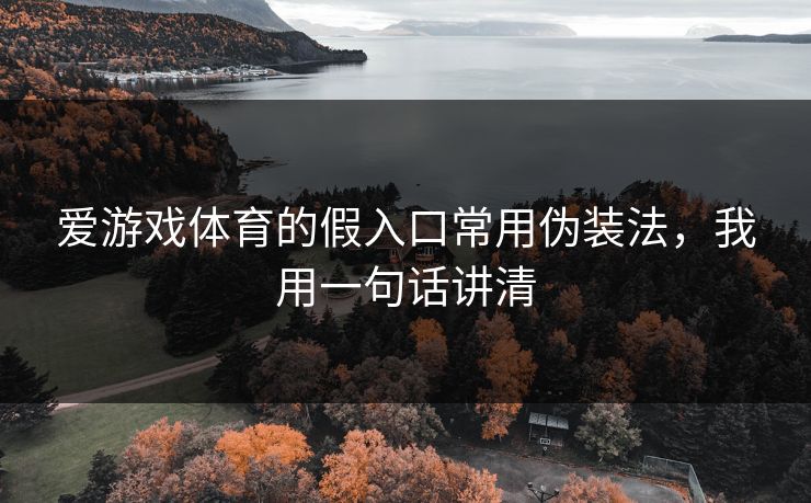 爱游戏体育的假入口常用伪装法,我用一句话讲清 爱游戏体育的假入口常用伪装法,我用一句话讲清